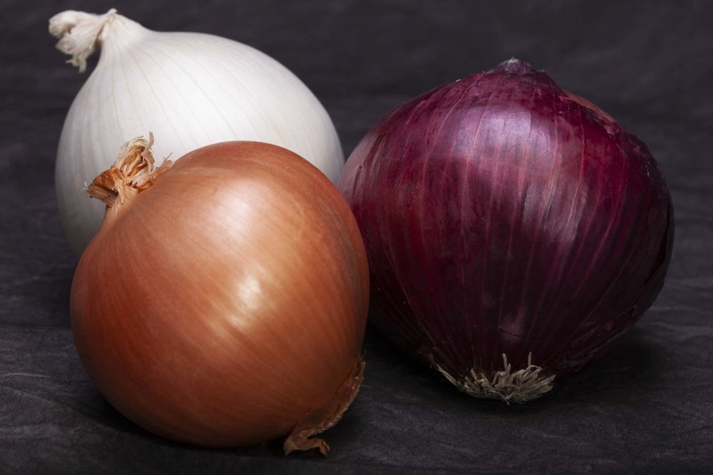 Three Onions on Table