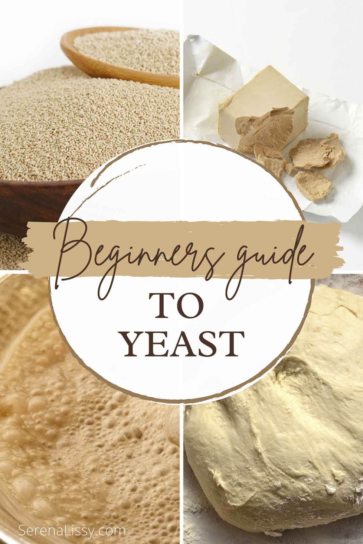 Different types of yeast