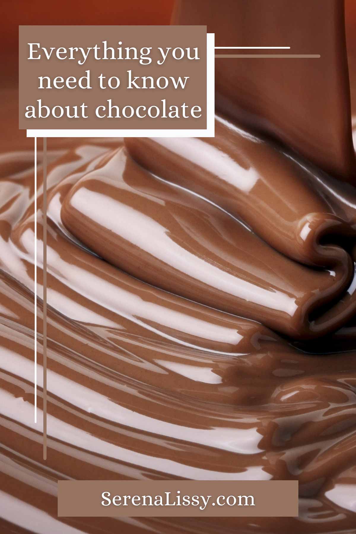 Everything You Need To Know About Chocolate